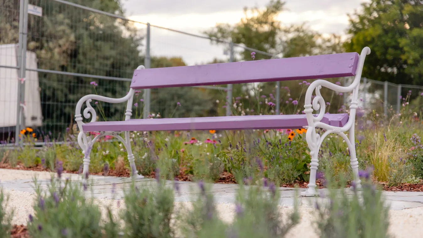 Már látogatható Budapest első levendulaparkja