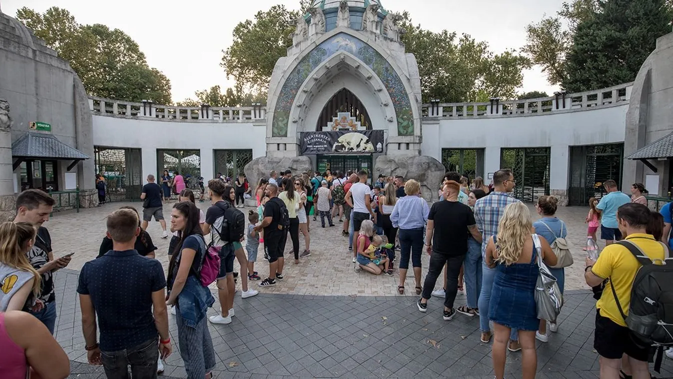 Állatkertek éjszakája - Óriáskígyó-simogatás és fóka-show vonzotta a látogatókat