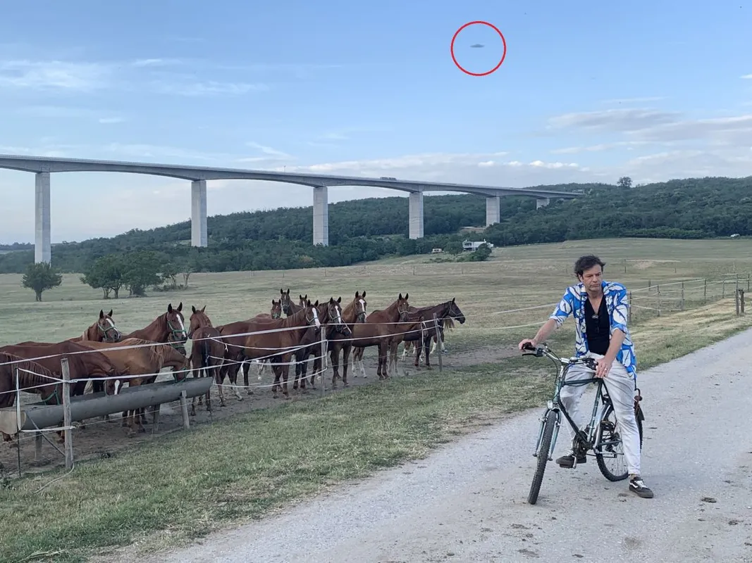 Város vs Vidék