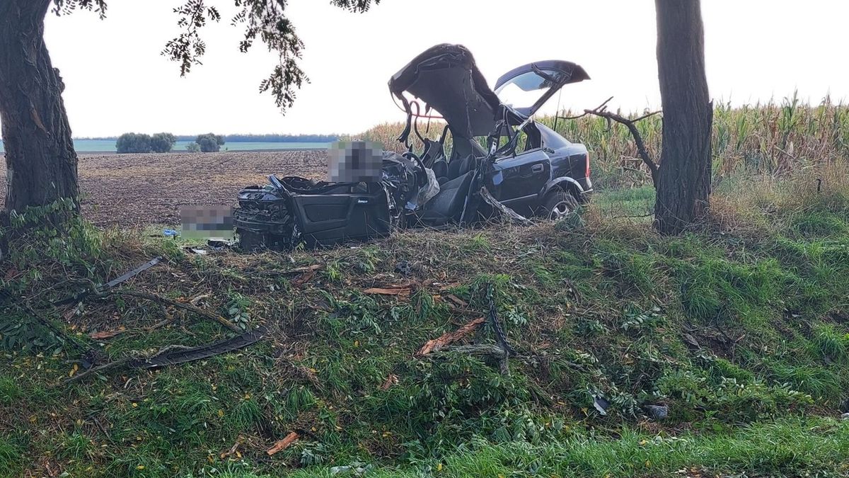 Ne adjátok fel! – ismerőseik imádkoznak a sárosdi balesetben megsérült anya és kisfia életéért