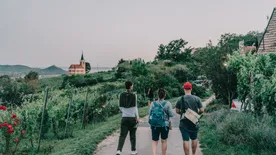 Újdonságképpen délutáni borozgatásra vár a Szent György-hegy