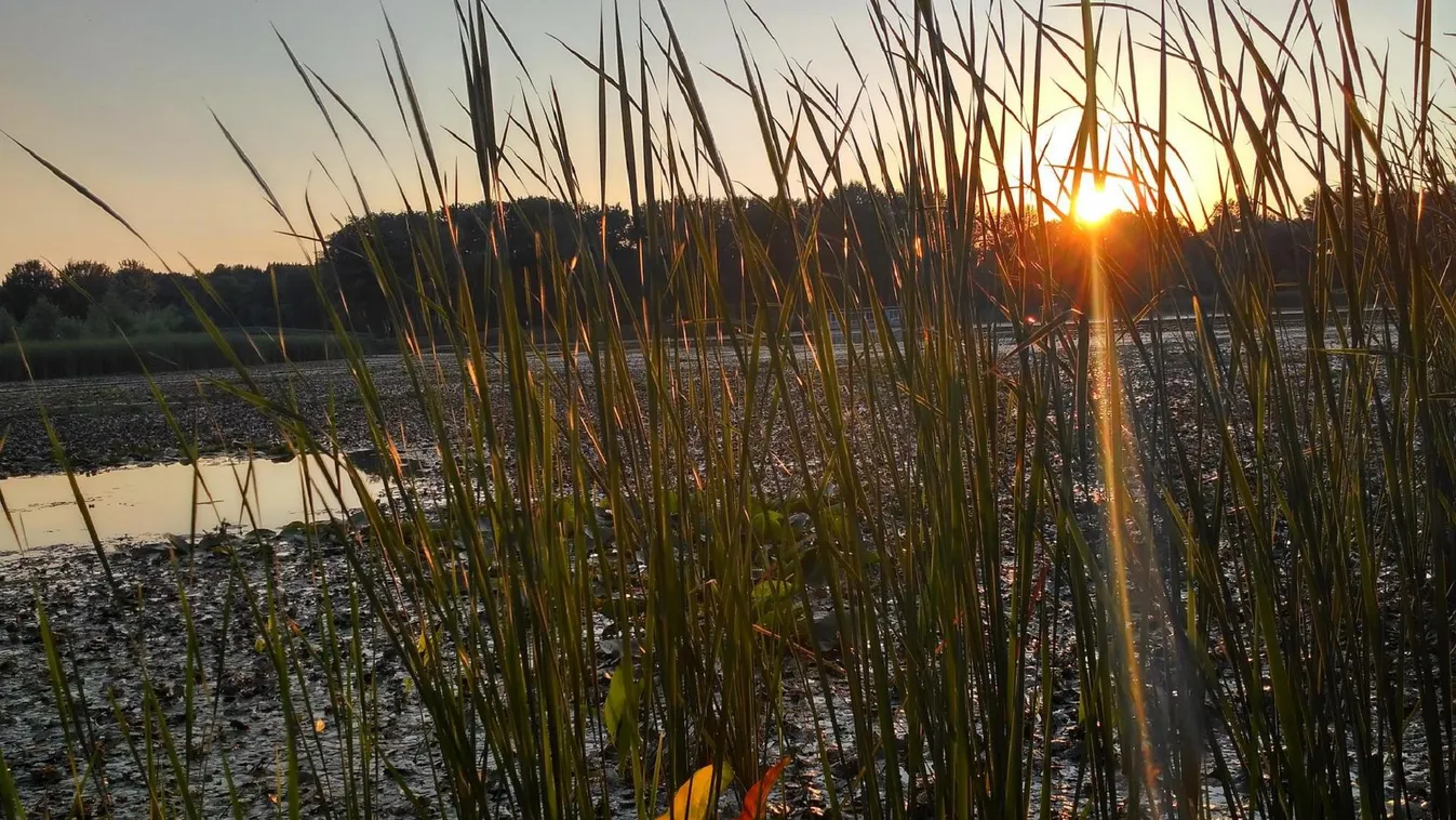 Hihetetlen: Napi négy centit apad a Tisza-tó
