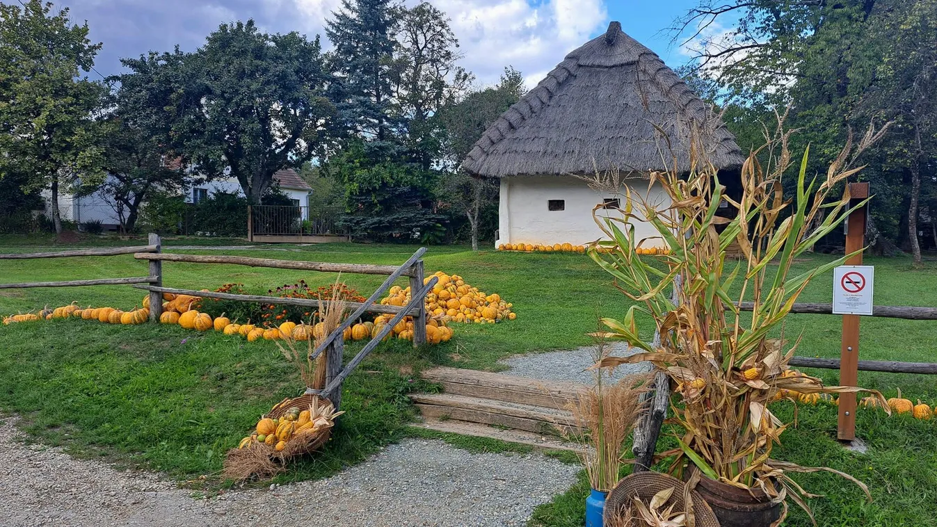 Az Őrségben a tököké most a főszerep, érdemes ellátogatni a hétvégén
