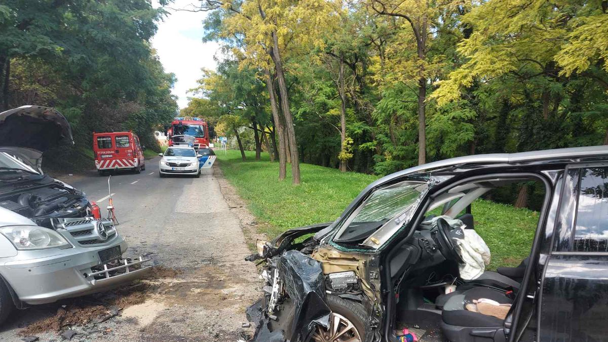 Teljes útzár: három emberért küzdenek Budakeszin