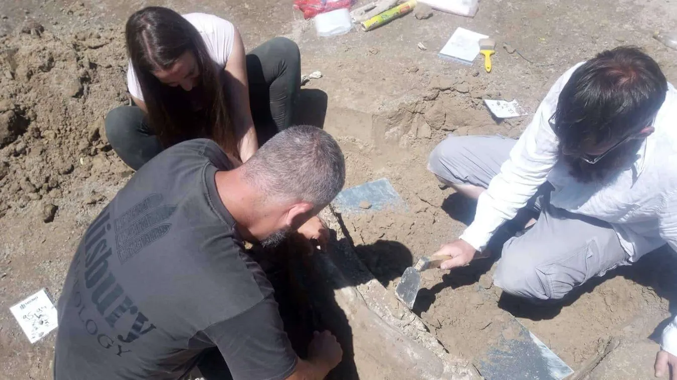 Közel egyméteres mamutagyarat találtak Vácon