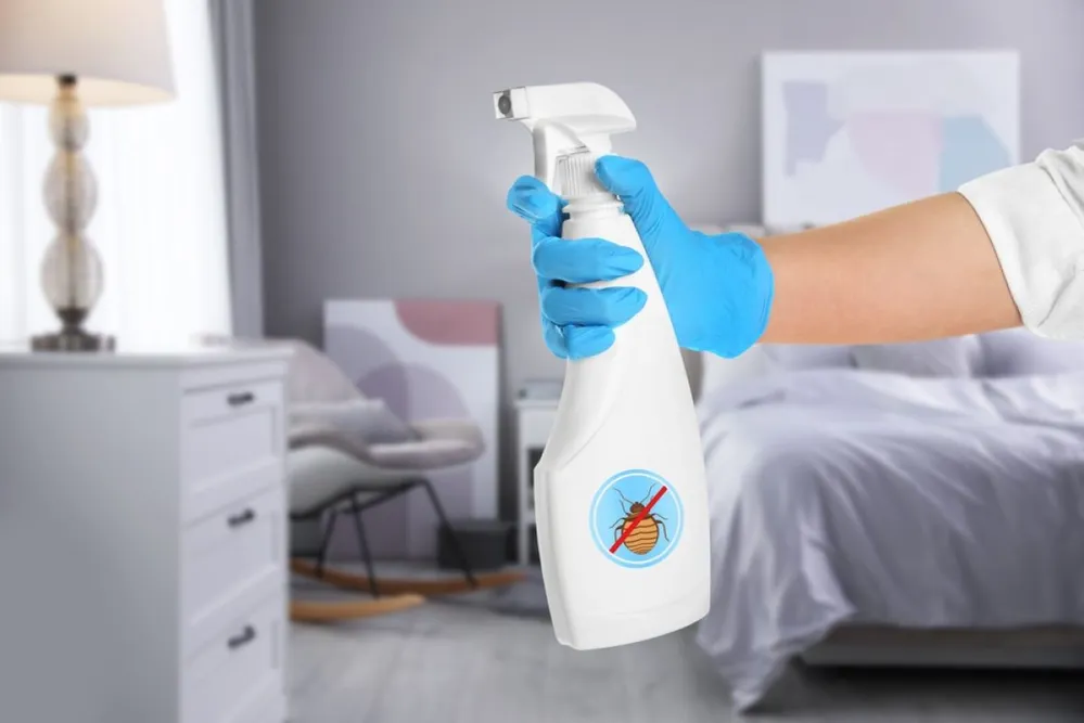 Woman,With,Anti,Bed,Bug,Spray,In,Bedroom,,Closeup