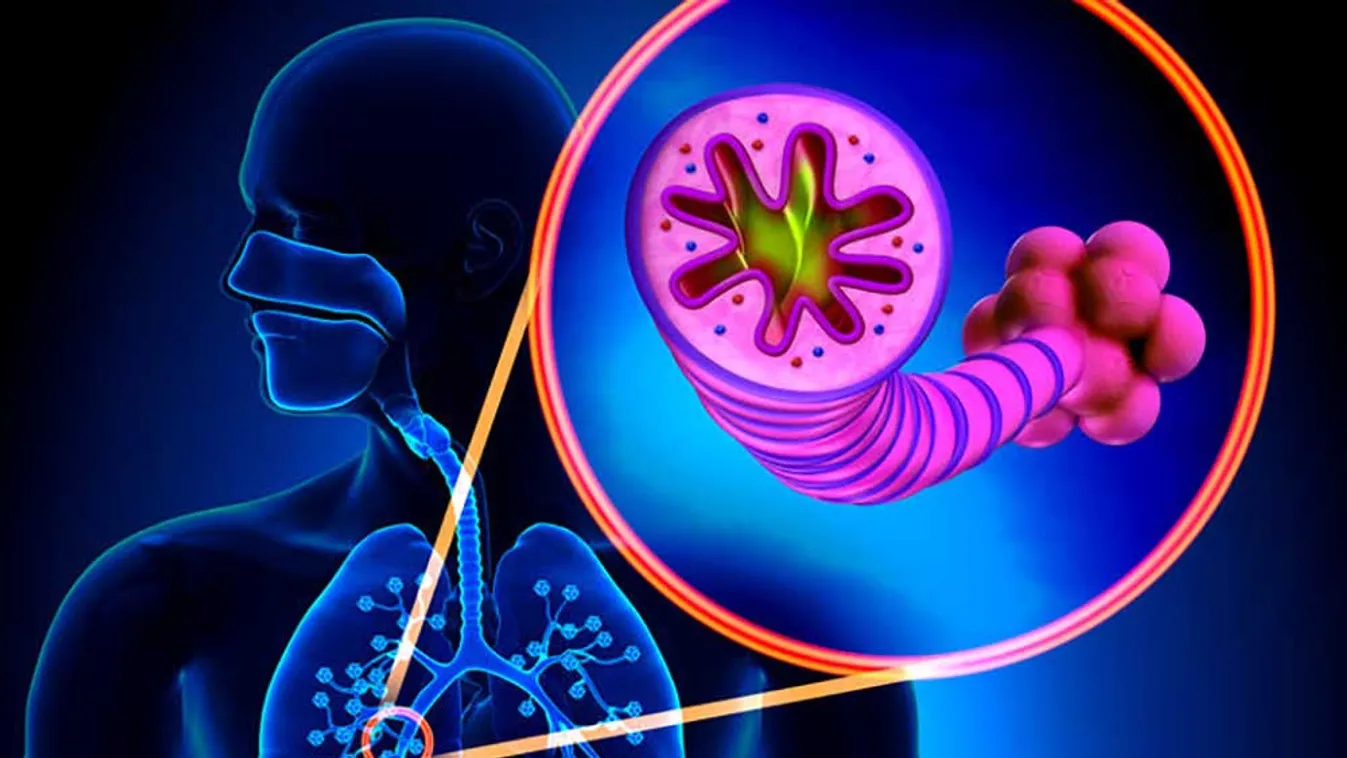 6 dolog, ami miatt a mozgás létfontosságú a COPD-ben szenvedők számára