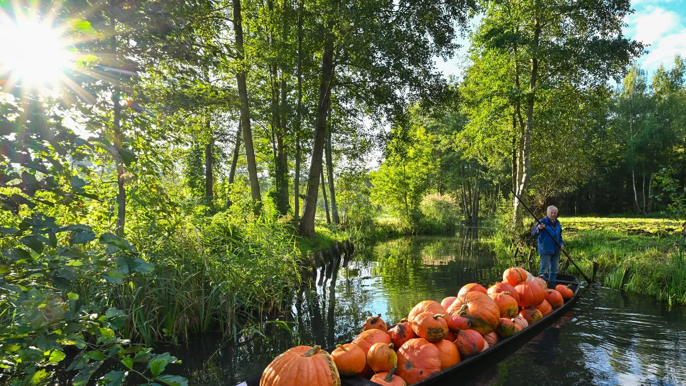 Képekben az elmúlt 24 óra - szeptember 21.