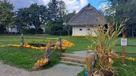 Az Őrségben a tököké most a főszerep, érdemes ellátogatni a hétvégén