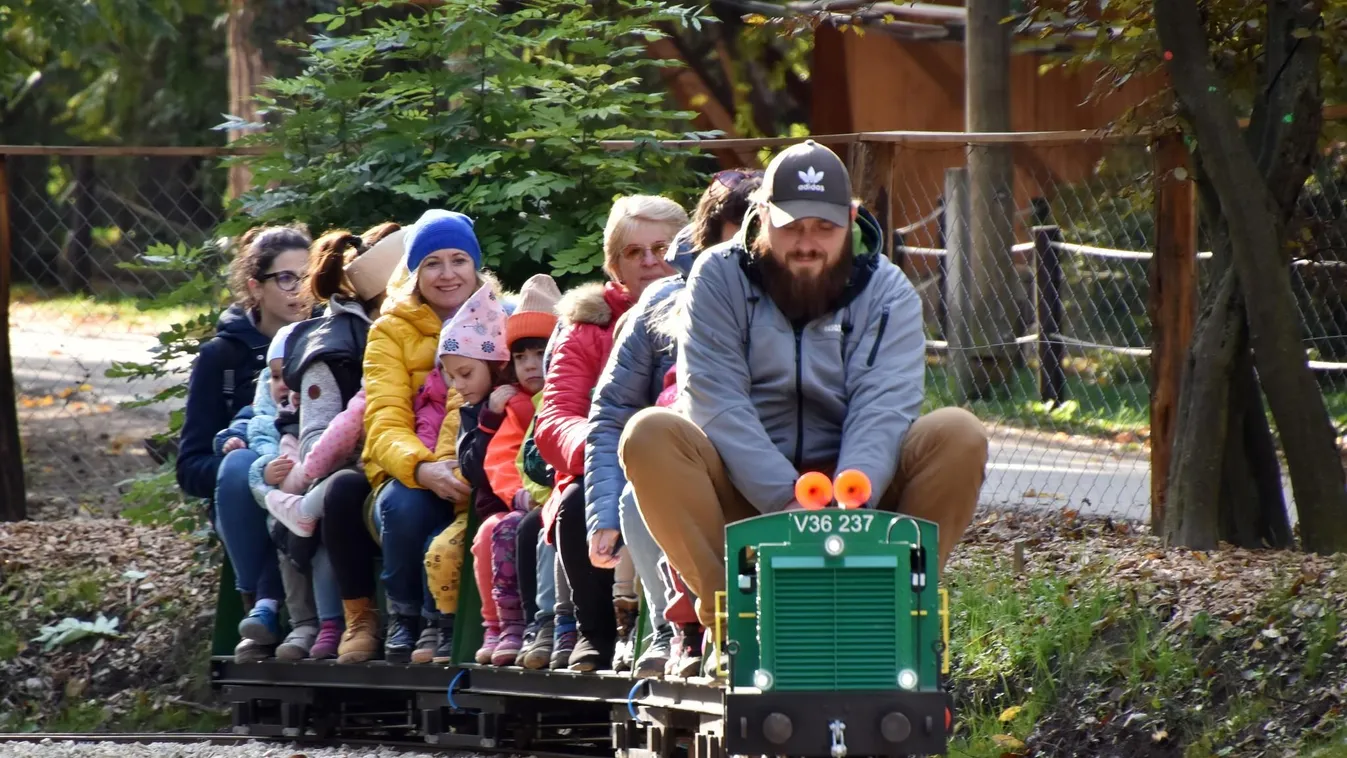 Kerti vasút a Budakeszi Vadaspark legújabb attrakciója