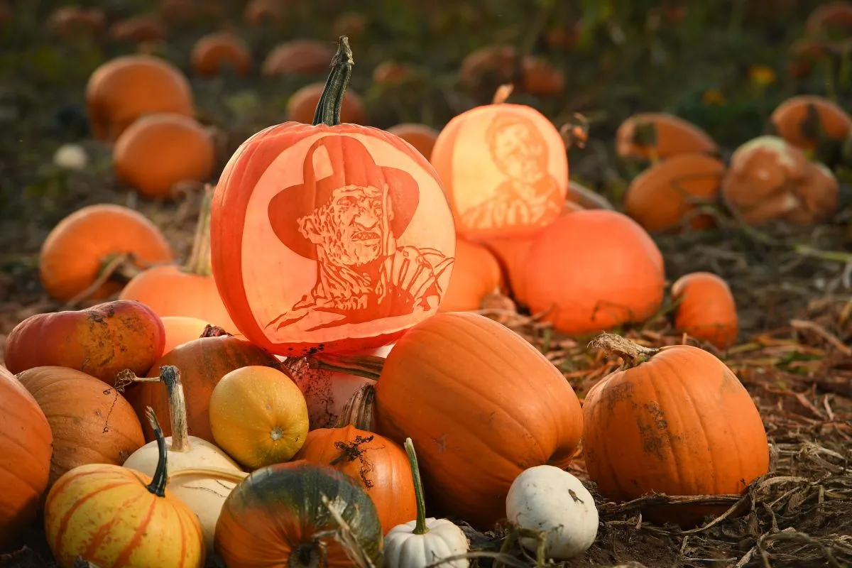 halloween, tök