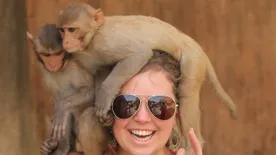 Videó: A majmok nincsenek tisztában az illemmel, és ezt a turisták nem mindig tudják