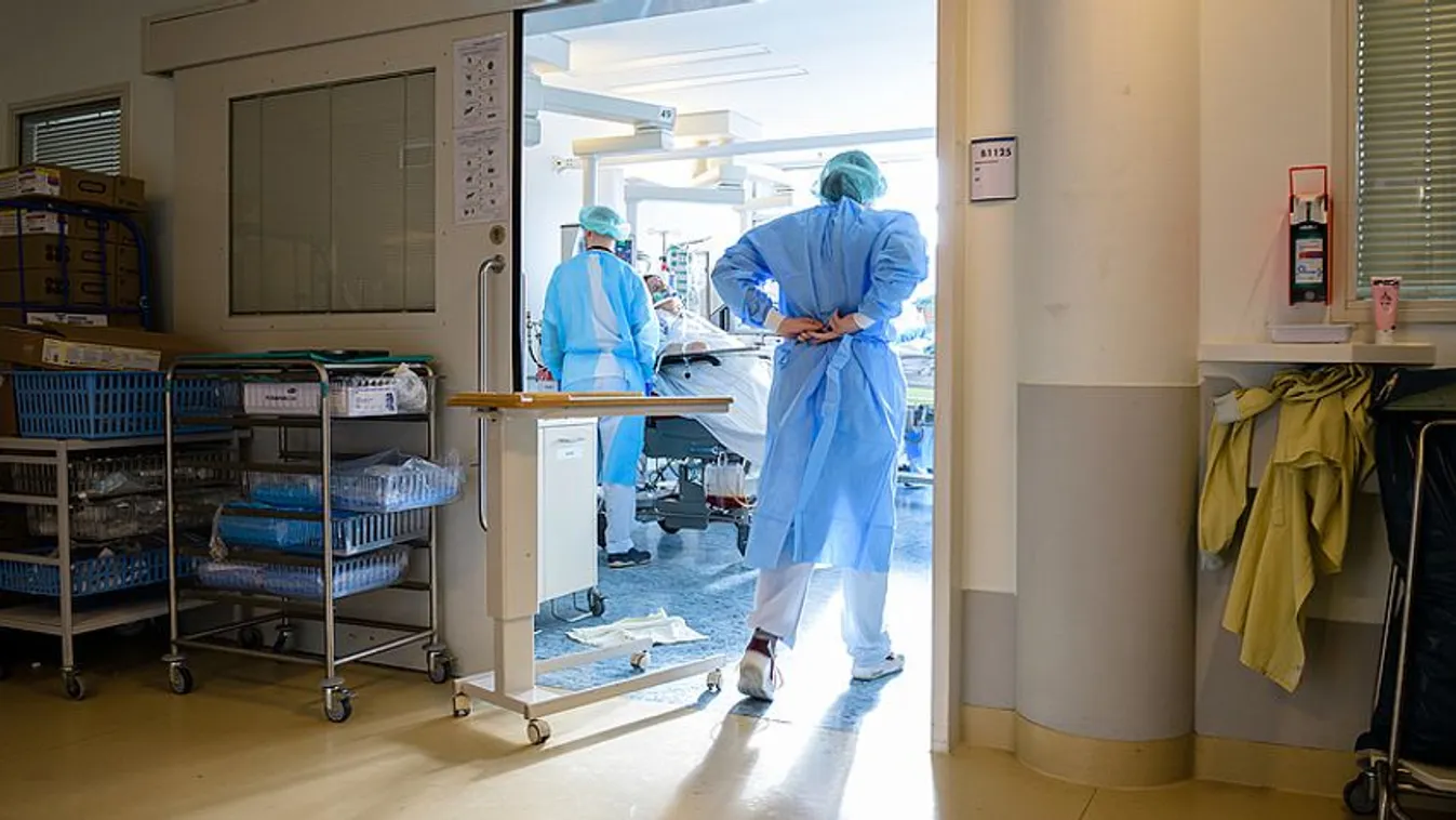 Világszínvonal: Új módszerrel mentették meg egy beteg lábát az SZTE orvosai