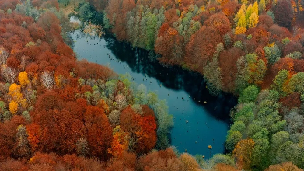 Unique,Lake,In,Hungary,Which,Name,Is,Hubertlaki,Lake.,It