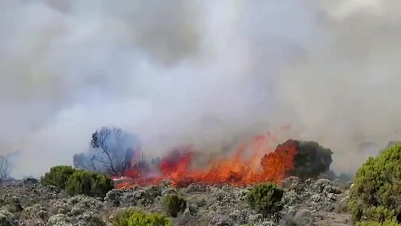 Videó: így sikerült megfékezni a lángokat Afrika legmagasabb hegyén
