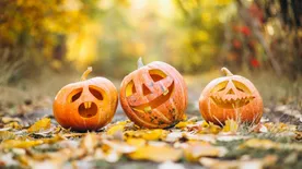 Ez az egyszerű trükk a hosszú ideig tartós halloweeni tök titka