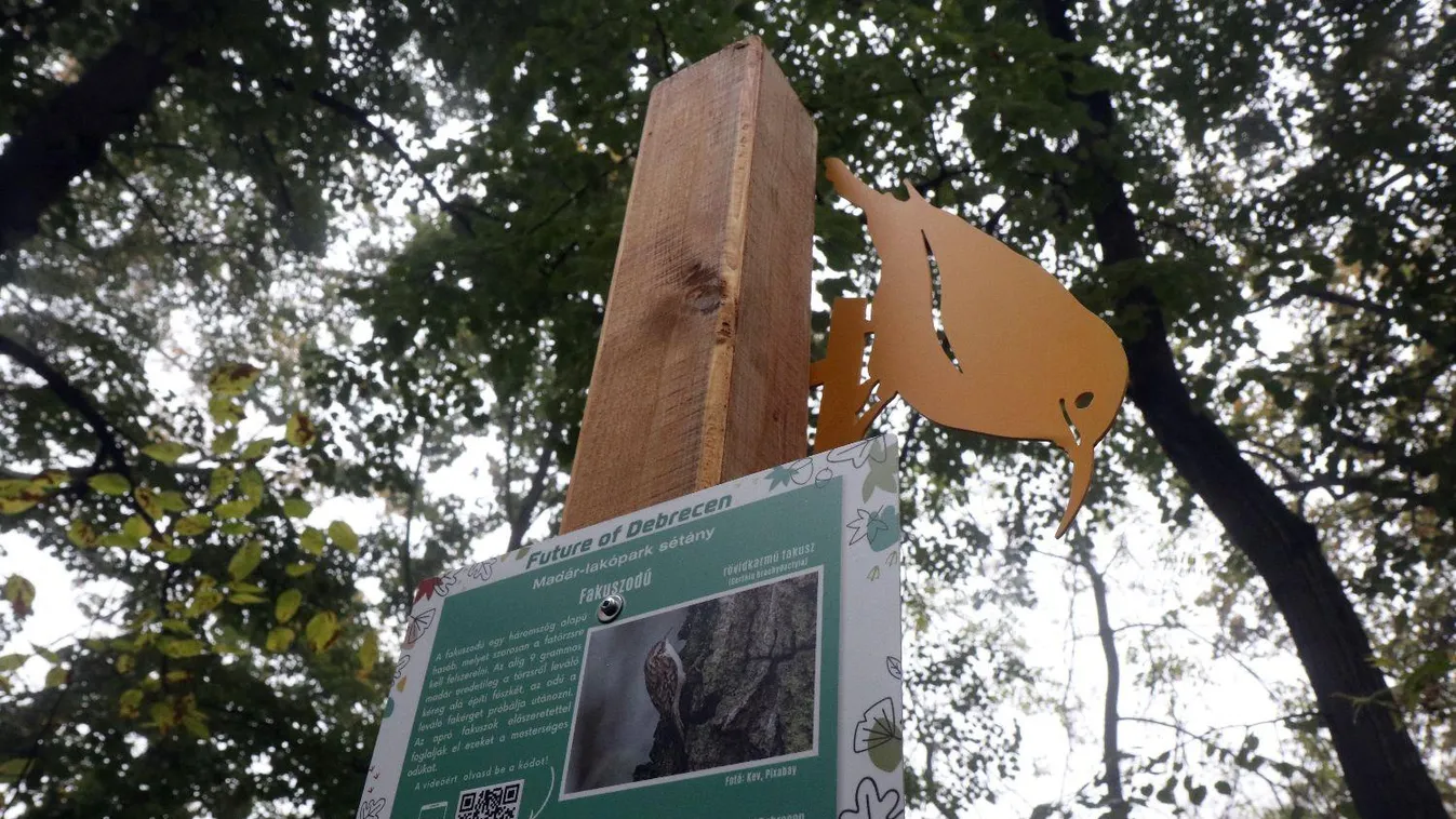 Madárlakópark-sétányt építettek a debreceni Nagyerdőben