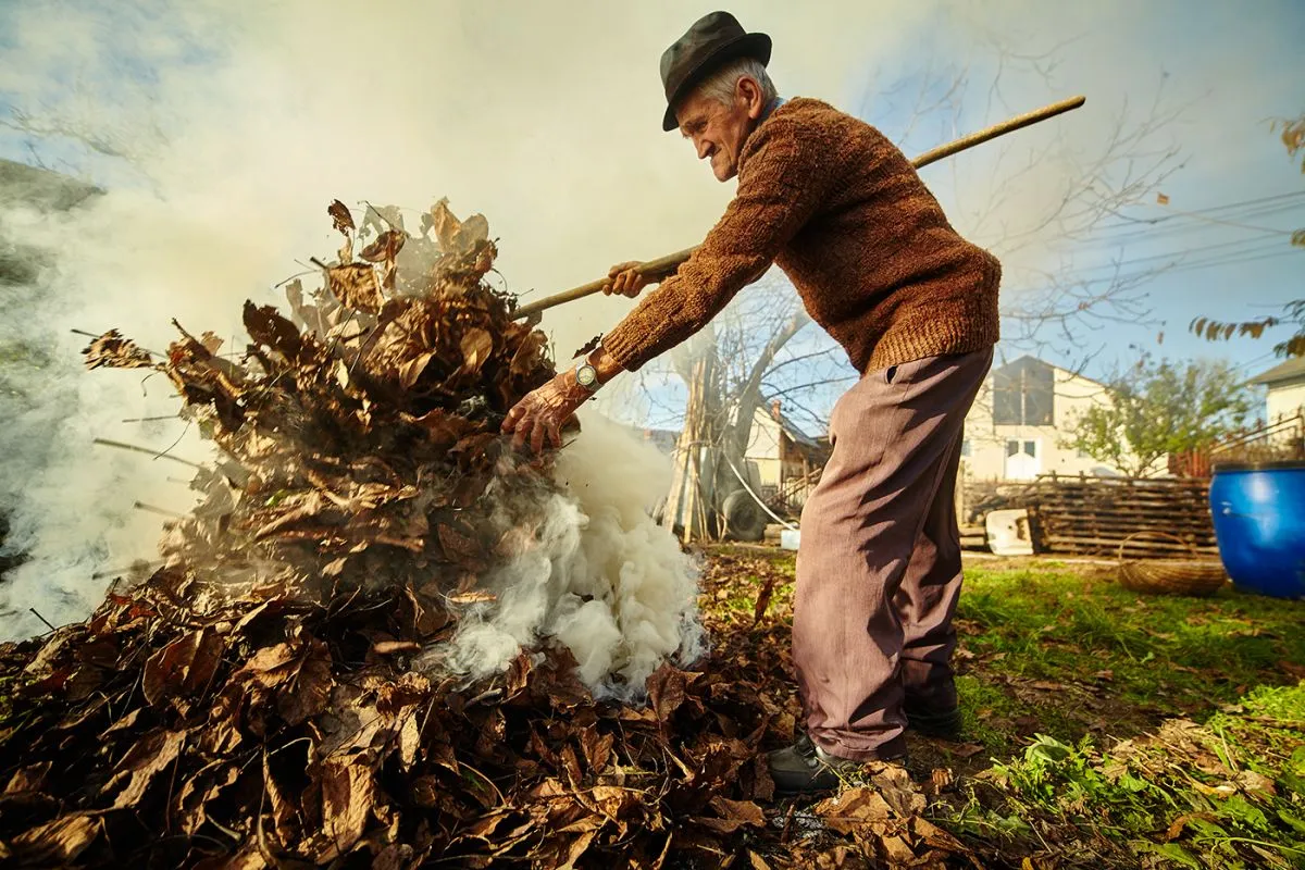 Senior,Farmer,Cleaning,His,Garden,Of,Fallen,Leaves,,Burning,Them