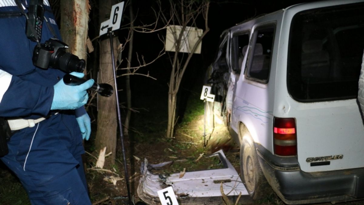 Fának csapódott egy autó Somogyban, egy gyerek életét már nem lehetett megmenteni