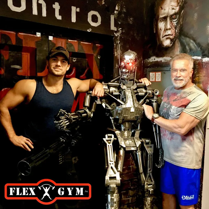 Arnold és Hanry Cavill