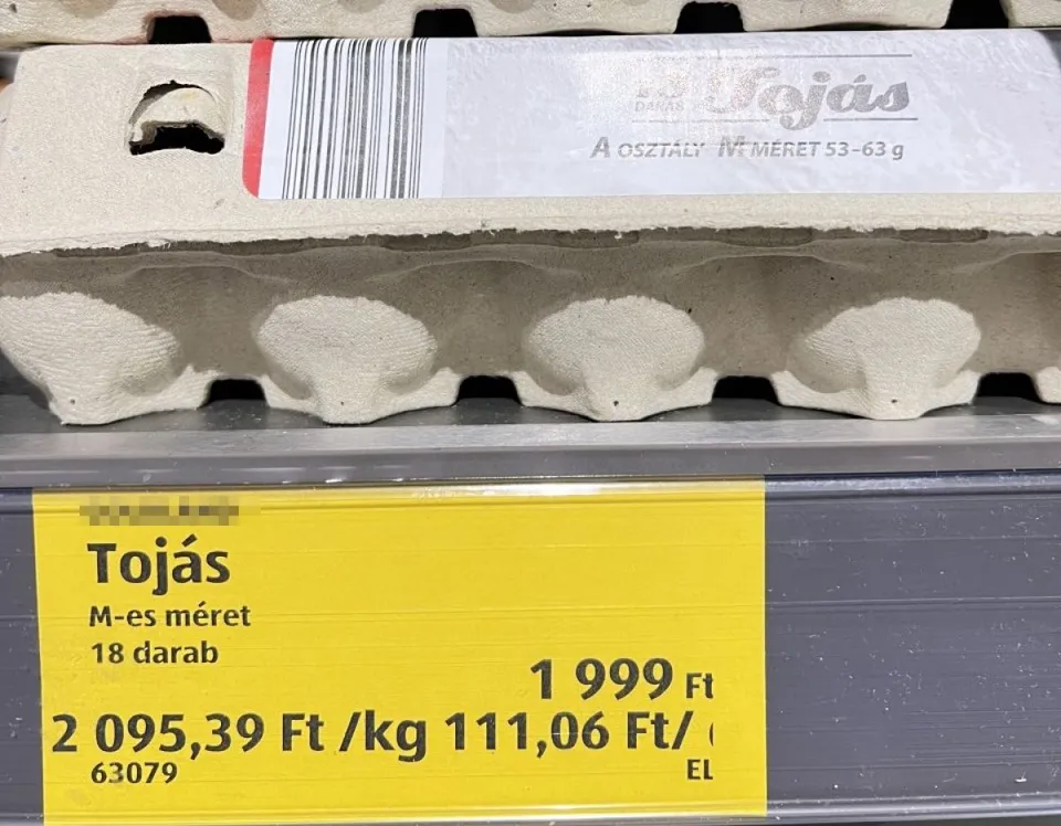 tojás
