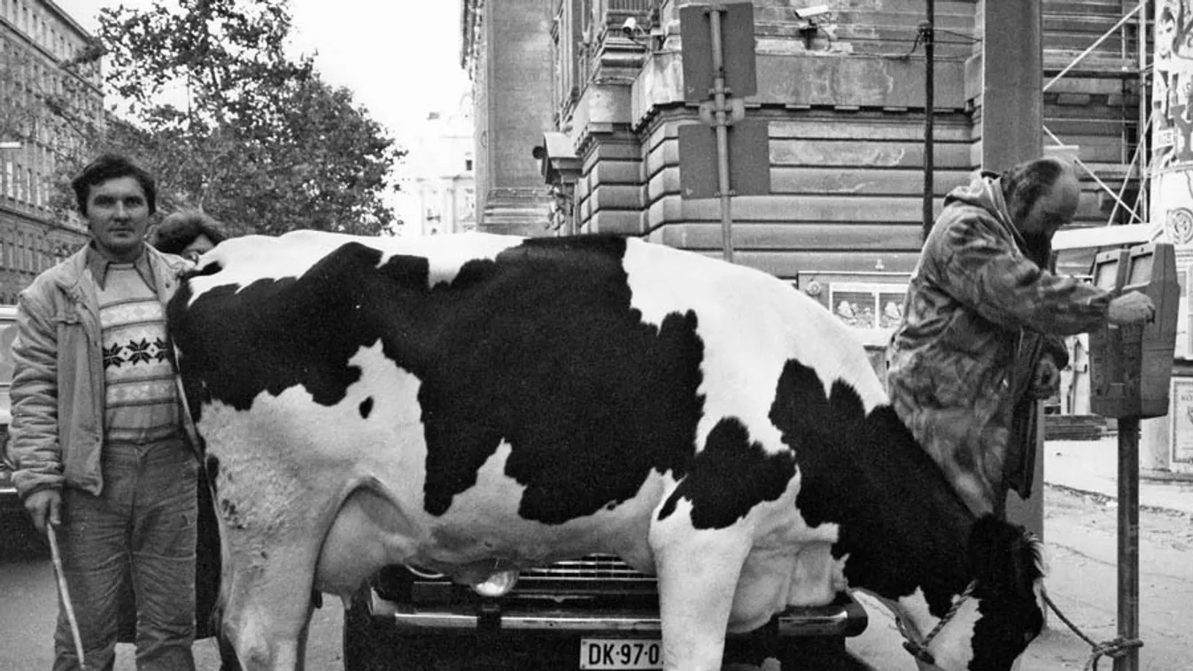 Budapest retro: Nagyszüleink kora elevenedik meg ezen a kiállításon