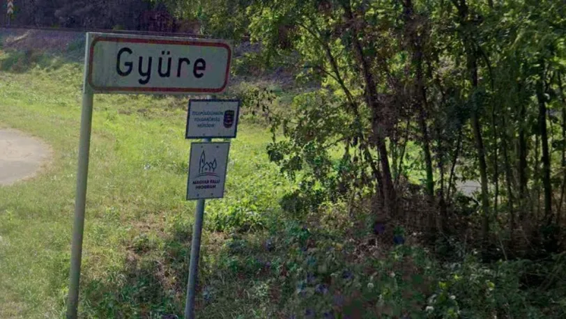 google.maps