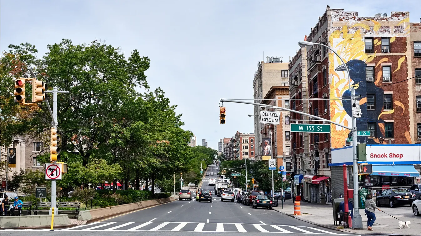 Ezzel az alkalmazással már ma délután New York utcáin vezethetsz