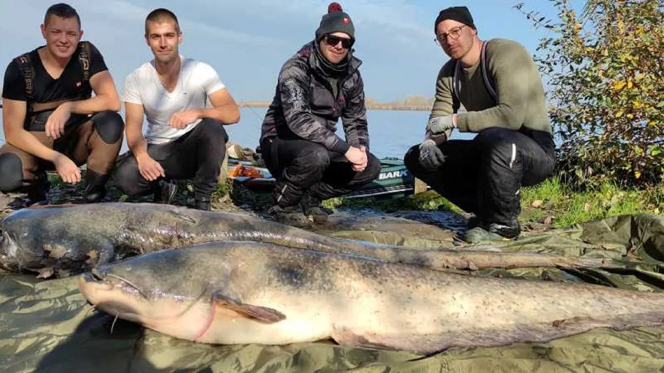 Videó: Óriás harcsákat fogtak a Hortobágyon