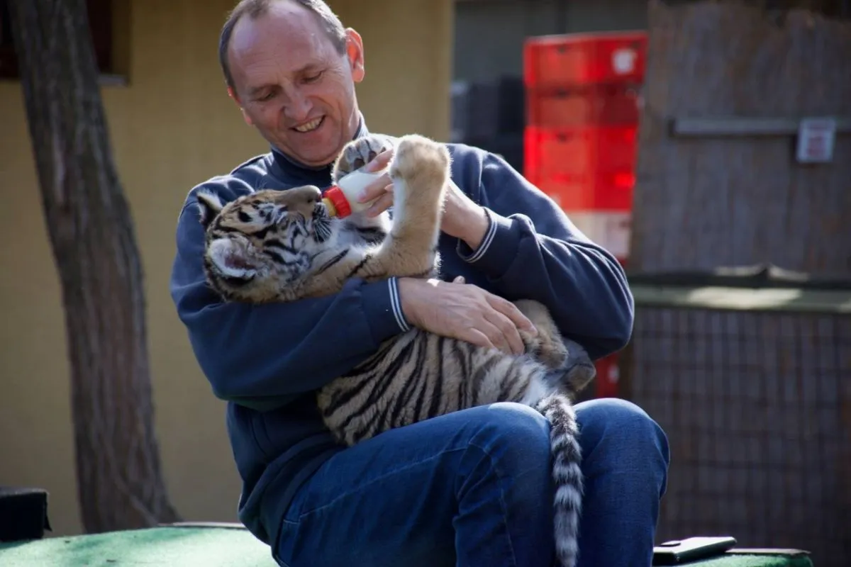 Tóth Tibor, a felsőlajosi Magán Zoo tulajdonosa
