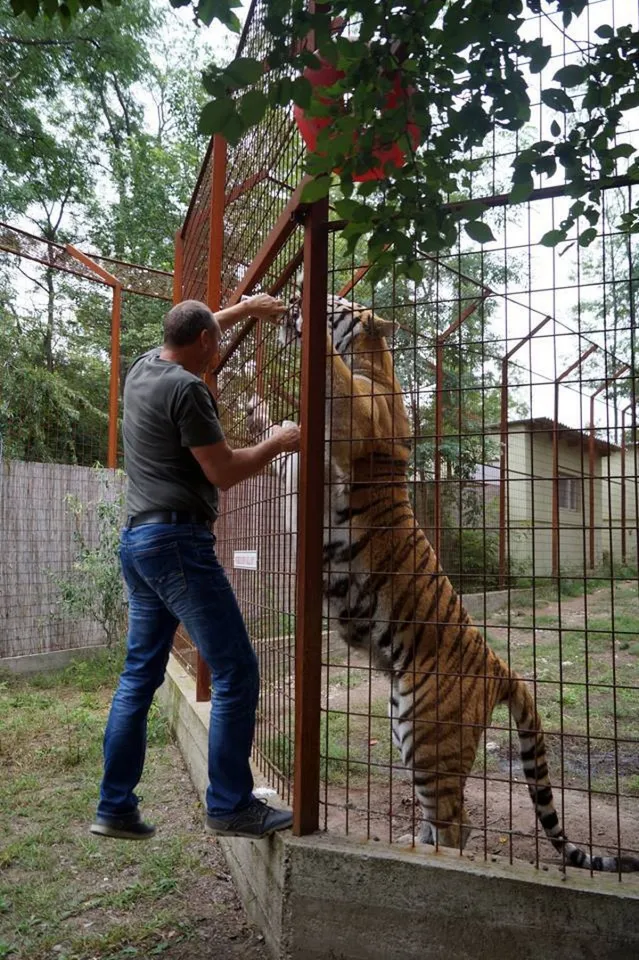 Felsőlajosi MagánZOO