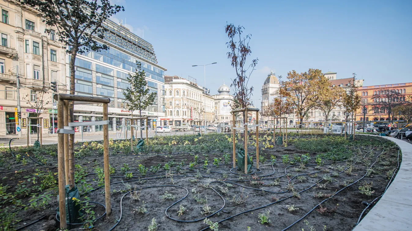 Fotók: Így zöldül a Blaha Lujza tér