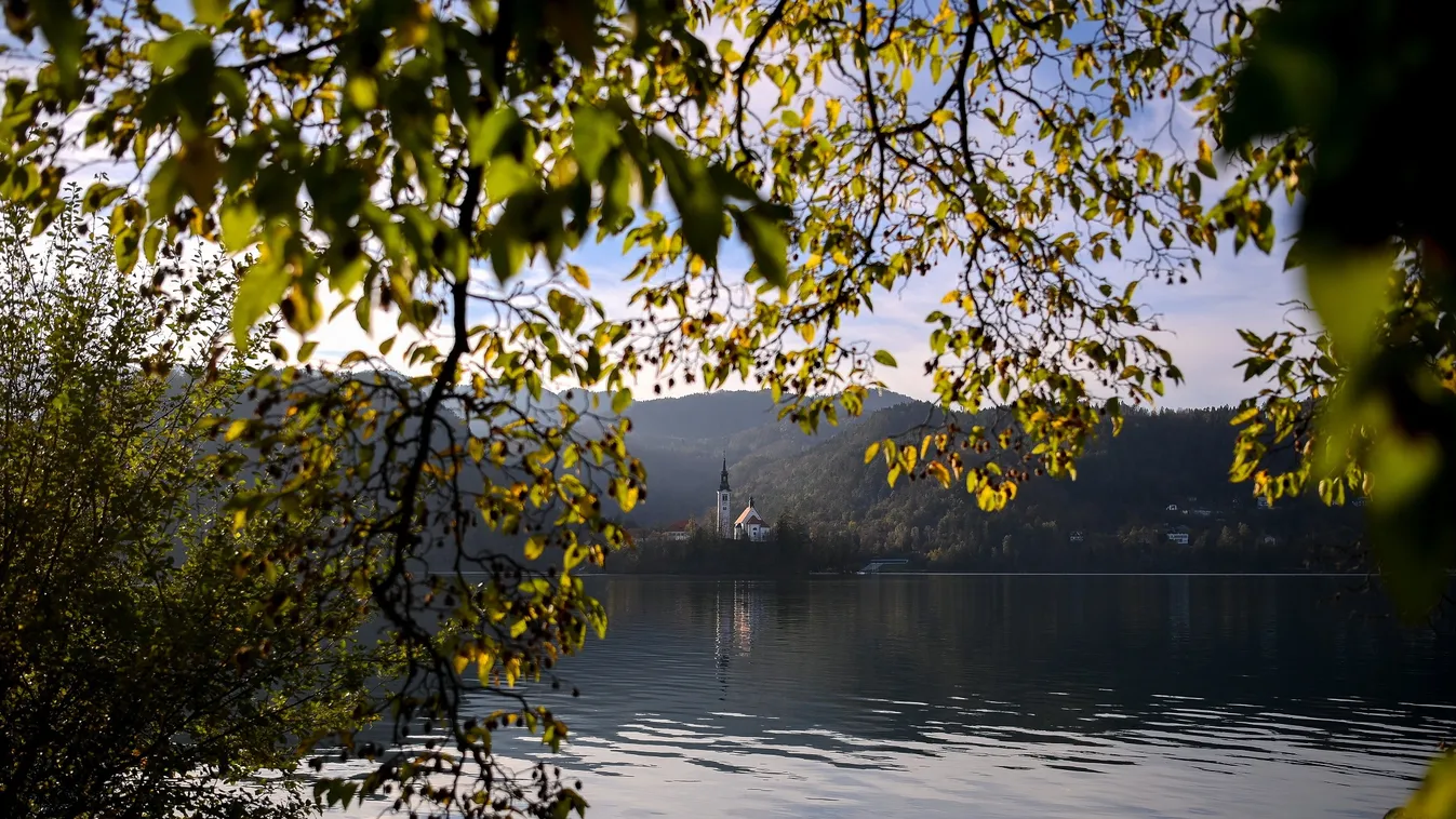 Képekben az elmúlt 24 óra - November 8.