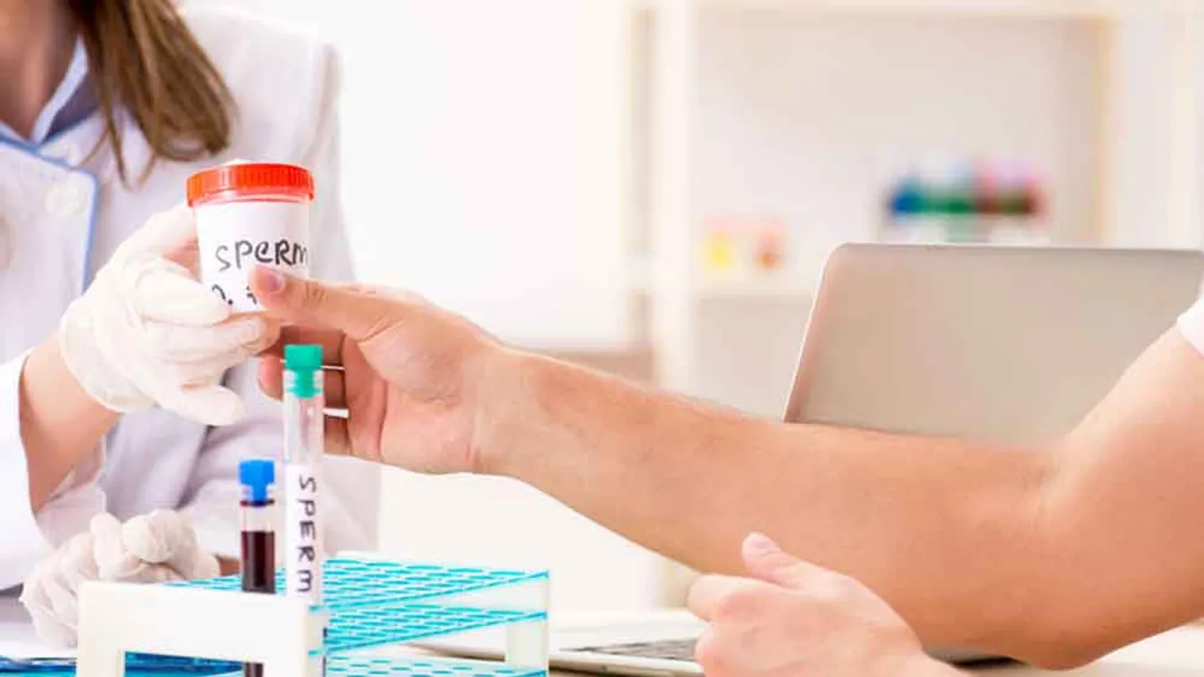 Spermiumtermelés - A D-vitamin hiánya, de túladagolása is komoly gondot okozhat