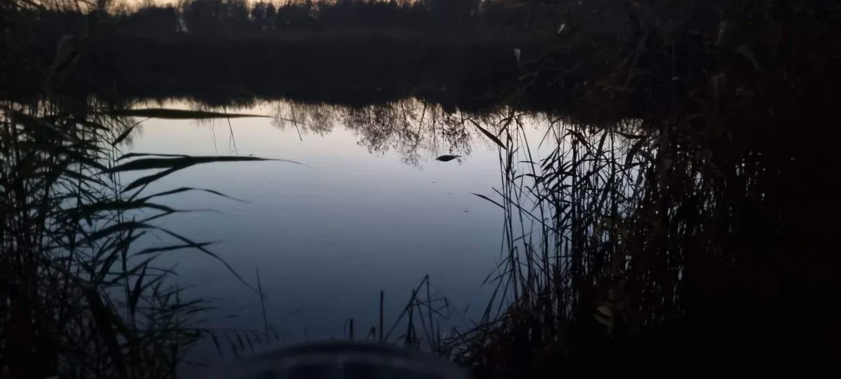 A tó, ahol Gábor bácsit megtalálták