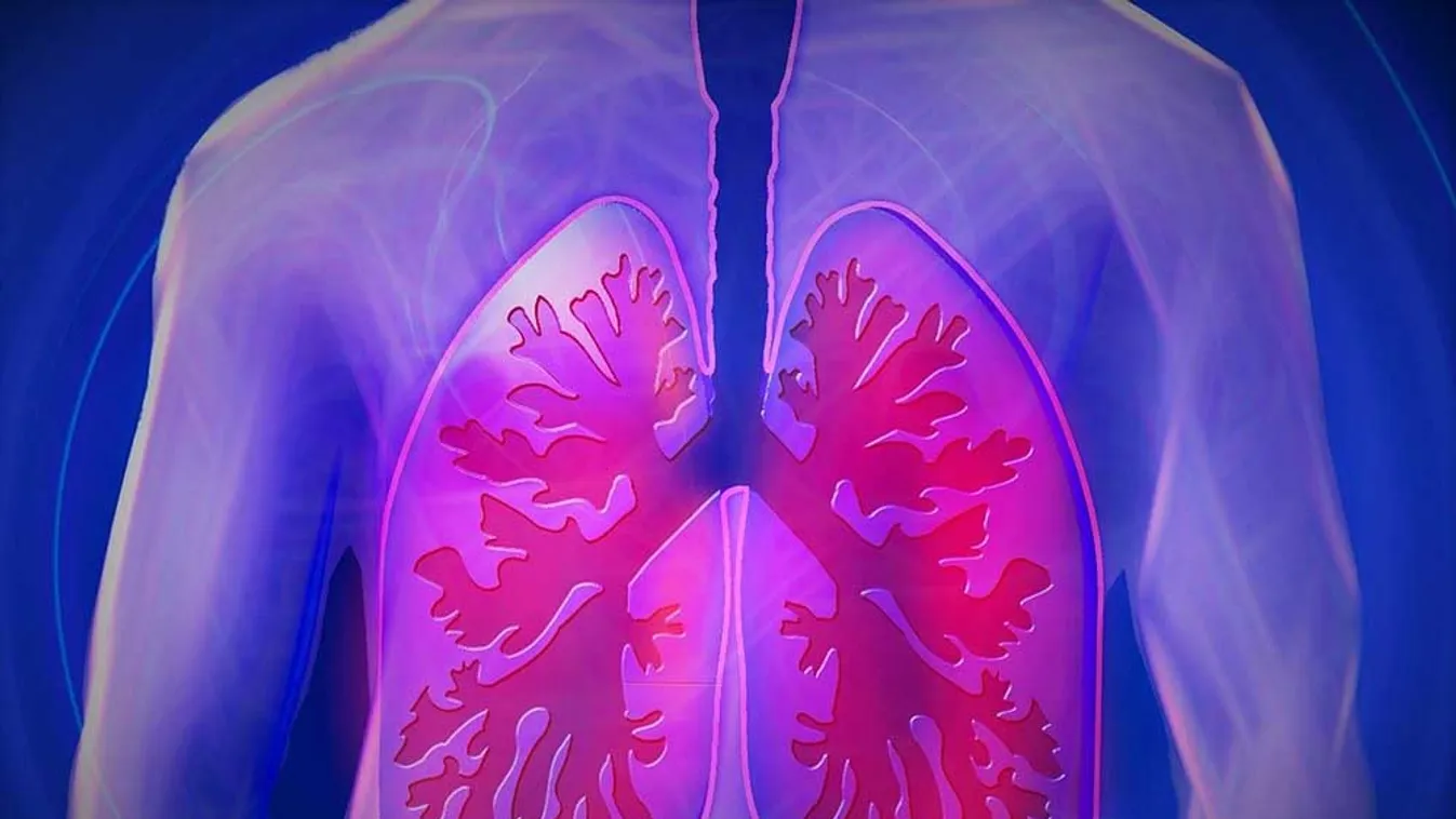 COPD - Fókuszban a tüdő egészségének megőrzése