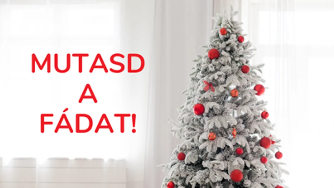 Lett ezernél több  fánk!