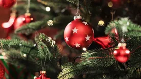 Gigafák és kisvonatos karácsonyfadíszek: így ünnepelt a sztárvilág