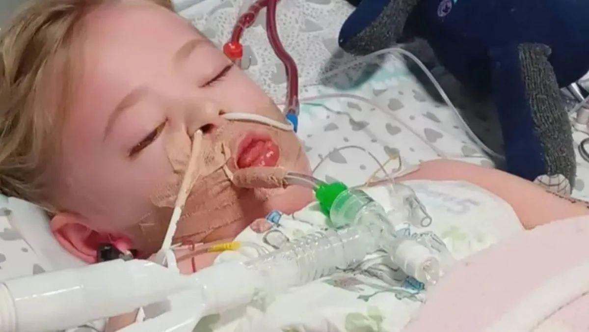 Camilla Rose Burns, GoFundMe