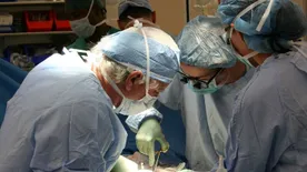 Fülfájásnak hitte, pedig húsevő férgek voltak a fülében