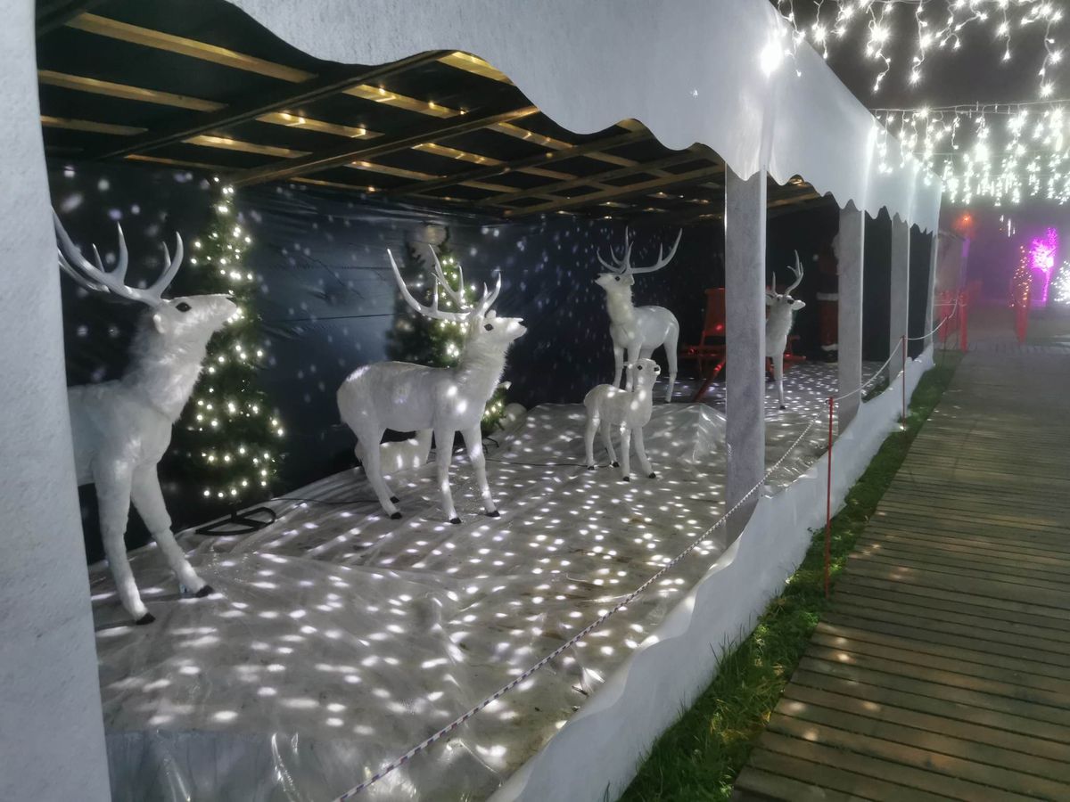 Karácsonyi Meseház Csákánydoroszlón, világító téli állatok