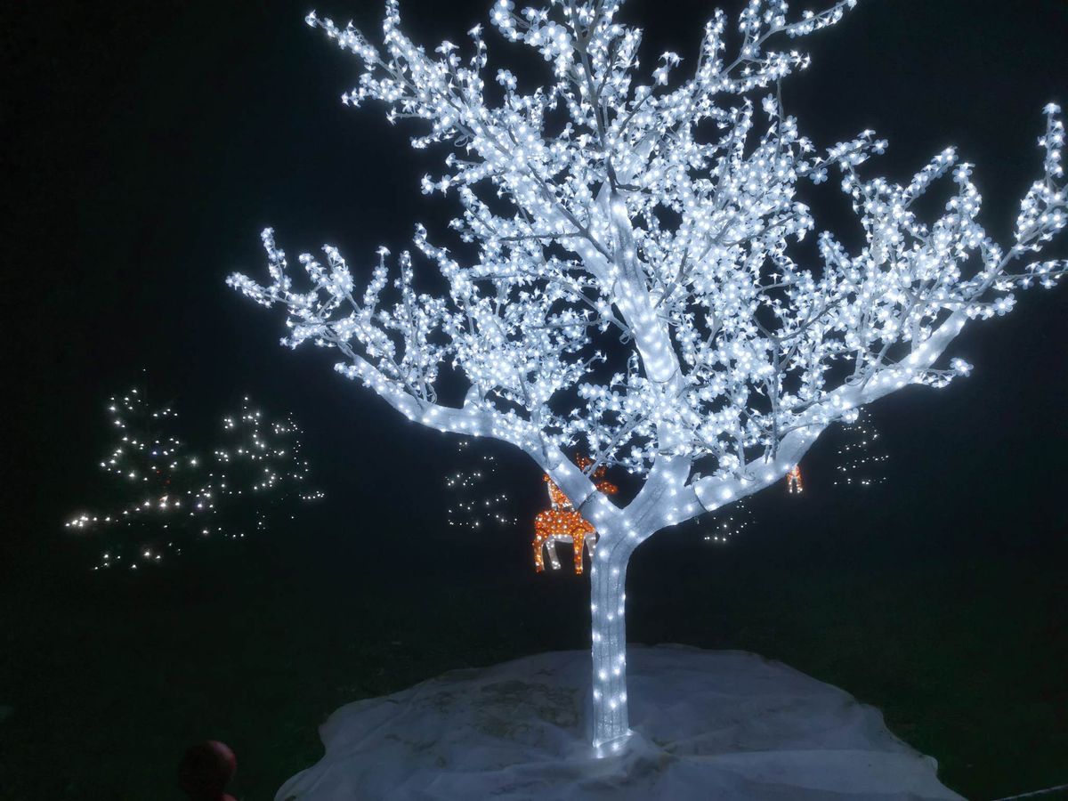 Karácsonyi Meseház Csákánydoroszlón, 4200 ledes akril fa