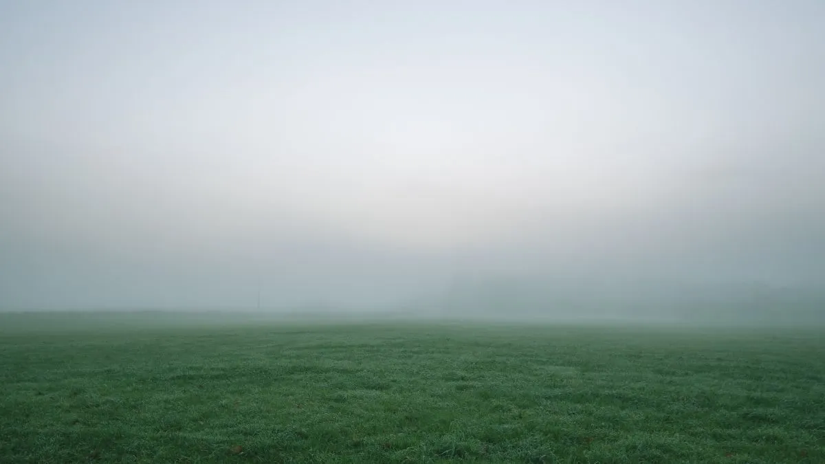 köd, időjárás