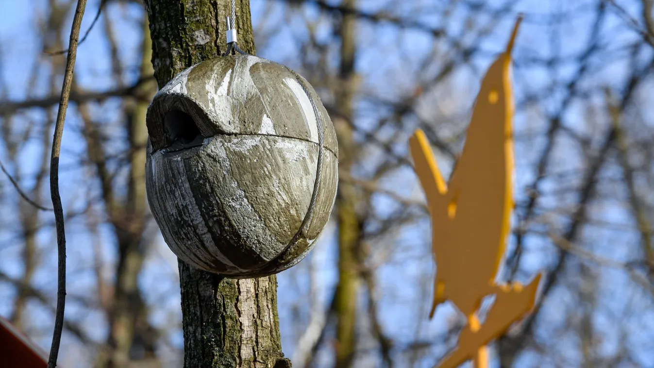 Macskabagoly- és kuvikodú is várja a bérlőket a debreceni Madár-lakóparkban