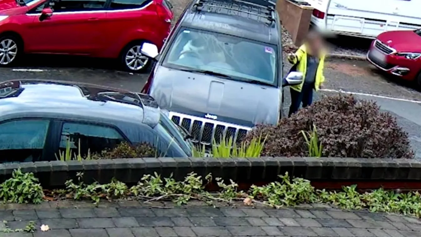 Videón a baleset: Ezért nem szabad hagyni, hogy a kutyád vezessen