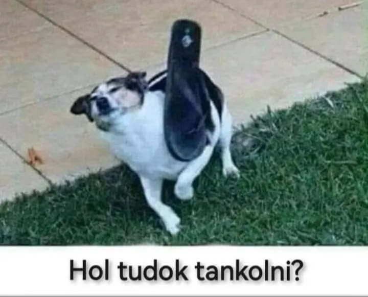 Benzinhiány mém