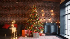 Mikor állítottak először karácsonyfát a világon?