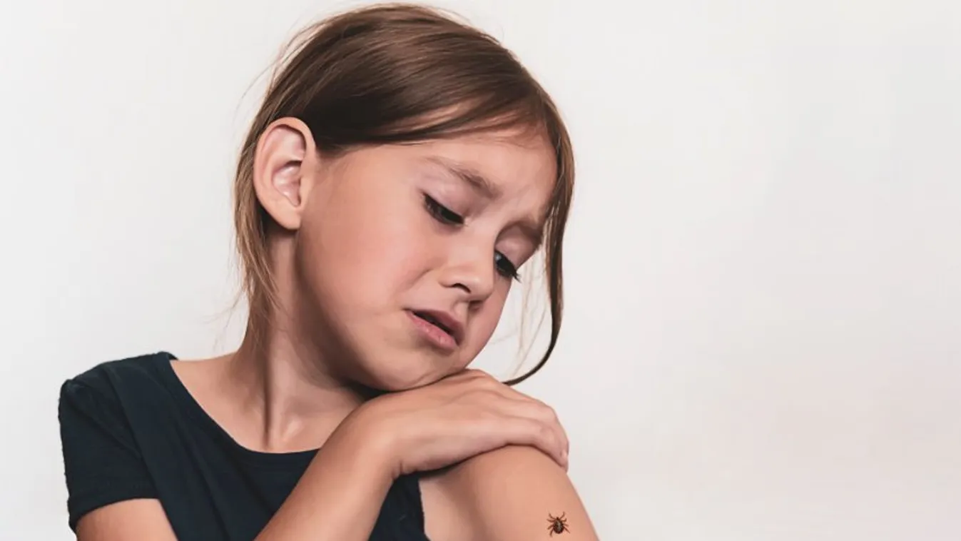 Lyme-kór - Minden 5. ember érintett Közép-Európában