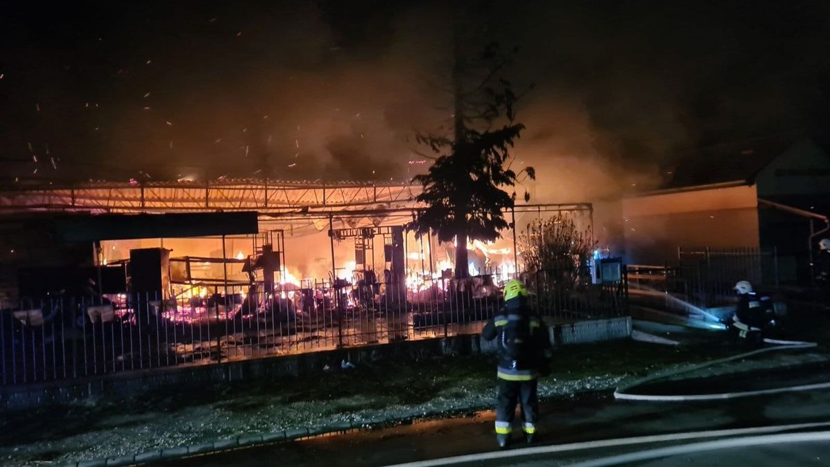 Oltani akarta a tüzet, végül a lángok között halt meg az alsóörsi férfi