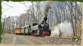 Az erdei vasút, ahonnan gyönyörű kilátás nyílik a Mátra bérceire